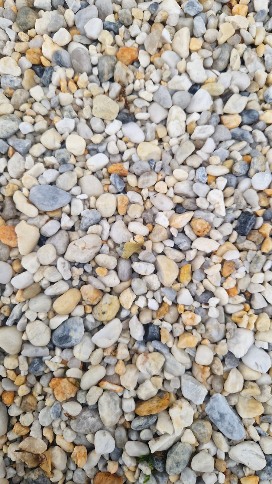 GRAVIER LE PRIERE GRIS (BLANC – JAUNE) 4/14