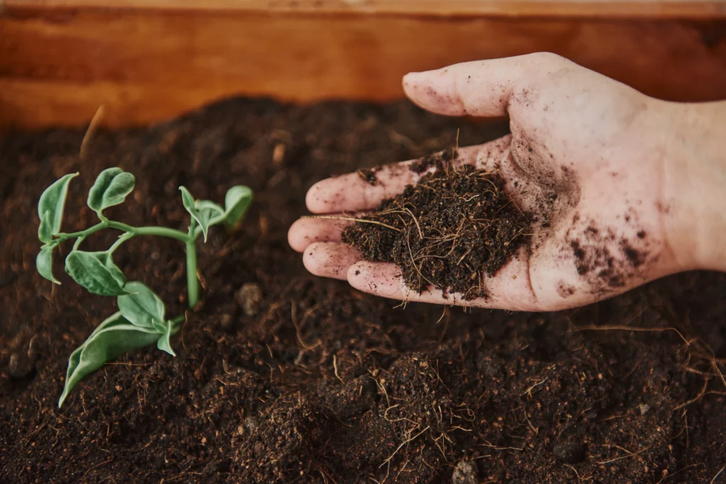 gardener-growing-herbs-planter Allée carrossable gravier